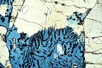 Photomicrograph: borosilicates - werdingite and grandidierite