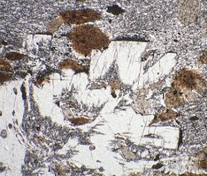 Photomicrograph: andalusite