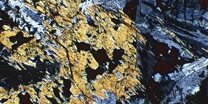 photomicrograph