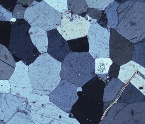 photomicrograph