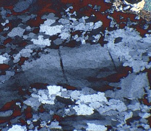 photomicrograph