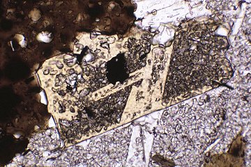 Photomicrograph, growth microstructures