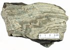 a98-kc3  Folded mylonite with quartz-rich and mica-rich bands. From the Moine thrust zone at Knockan Crag, Assynt, NW Scotland.
