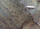 93a-14  Eclogite facies, low T. Metapelitic schist with large garnet porphyroblasts and schistosity comprising greenish phengitic muscovite. These are rocks subducted beneath the Oman ophiolite.