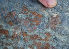 IMG 3493  Blueschist/eclogite facies (transitional). A metabasic rock consisting of blue glaucophane, green omphacite, red garnet porphyroblasts with long included prisms of glaucophane, and rusty-brown carbonate (ankerite). Aosta valley, Western Alps.