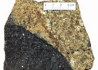 s98-13  Granulite facies ultrabasic gneiss from the Lewisian gneiss complex, Scourie, NW Scotland. Note the contrast between the freshly broken surface (uniformly dark, lower left) and the weathered surface, upper right, on which you can distinguish sefter yellow-weathering olivine and more resistant brown and green pyroxenes.