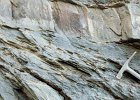 c97-09  Turbidite succession of the Portscatho Formation, Cornwall, shows original bedding overprinted by a slaty cleavage that is refracted across the sandy layers, where it has a more vertical orientation, curving into a shallower orientation in the slaty layers.