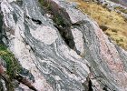 nws02-133  Lewisian gneiss, north of Loch Laxford, NW Scotland. An amphibolite-facies streaky biotite gneiss with layers and lenses of white and pink granitic material.