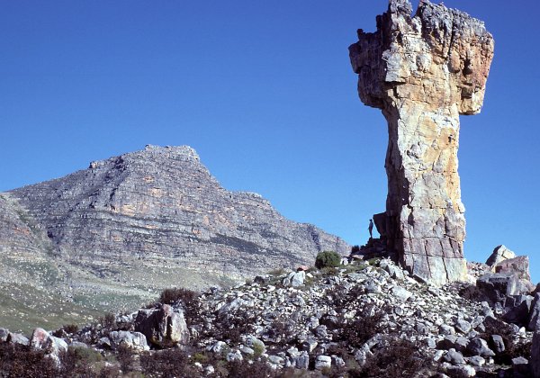 Rocks in the Field