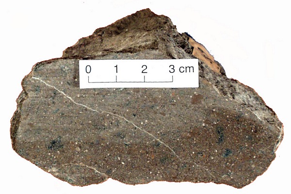 Stac Fada hand specimen