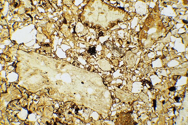 Stac Fada thin section