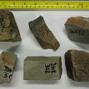 Group photograph of hand specimens DWK-303 is unaltered gneiss, DWK-310 is unaltered amphibolite. 302 and 303 were sampled directly adjacent to each other - note the contrast.