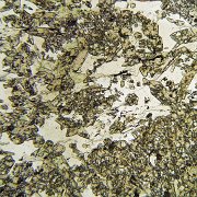 DWK-302 x4 objective Epidote, quartz, chlorite, muscovite. Note complete absence of feldspar.