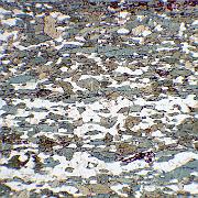 S99-7 Sheared Scourie dyke Sample S99-7, plane polarised light, field of view 3mm. From the opposite end of the same thin section as the previous slide, i.e. about 2cm away. The rock is...