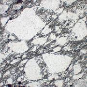 Sample 2 (JDW220) Sample 2 (JDW220). Lower chlorite zone. Metagreywacke. Tectonic fabric defined by chlorite and muscovite between and around clastic quartz and feldspar. Note...