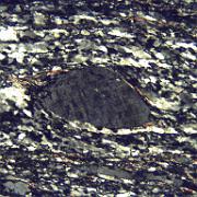 Practical 3: LH98-3 LH98-3, Moine Thrust zone, Eriboll. Crossed polars, width 0.8 mm. Sigma porphyroclast of K-feldspar in quartz with oblique shape fabric, sinistral shear sense.