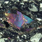 Sample LH2 Sample LH2. Mylonite derived from Lewisian felsic gneiss. Crossed polars, field of view 1mm. Muscovite porphyroclast (mica fish) with sinistral stair-stepping;...