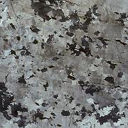 Granulite, chessboard Qtz JC66, crossed-polars slide scan 1.5 x 1 cm. Granulite-facies microstructure: very coarse-grained quartz strained into roughly square subgrains (chessboard...