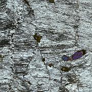 Mylonite, BLG microstructure JC84, crossed-polars slide scan 1.5 x 1 cm. A quartz mylonite with scattered diopside porphyroclasts from near the thrust contact against peridotite. Most of...