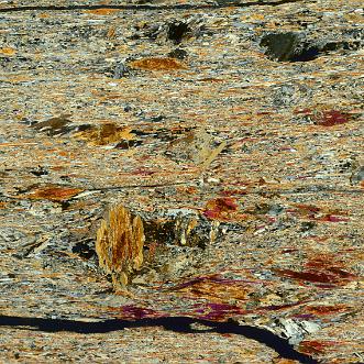 Canisp Shear Zone Rocks from the Canisp Shear Zone at Achmelvich, Assynt field course sample set. This is an example of a deep crustal...