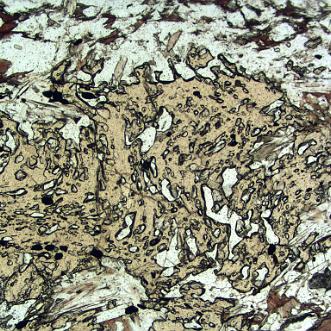 Everest Series metamorphic cycle Illustrating the metamorphic evolution of the lower part of the Everest Series (a.k.a. North Col Formation) in the...